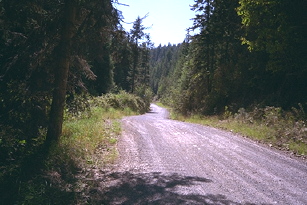 Picture of a country road